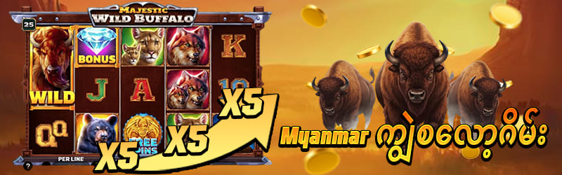 shwe666 ကျွဲ စလော့